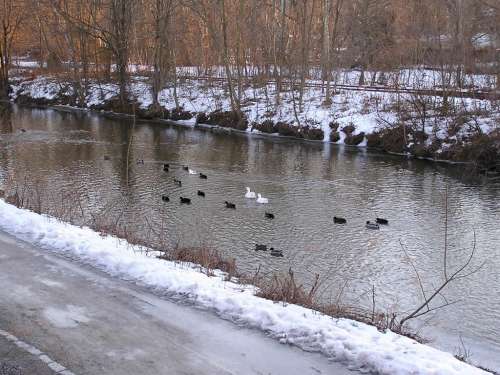 View of the canal from upstairs